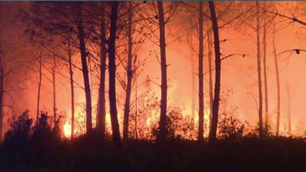 Incendies en Gironde :&nbsp;une lueur d’espoir (FRANCE 2)