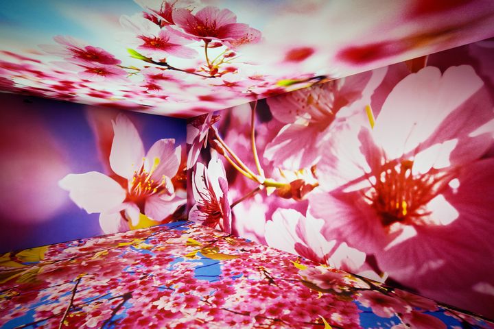 Exposition&nbsp;Florae&nbsp;Mika Ninagawa&nbsp;de Van Cleef &amp; Arpels à l'hôtel d’Évreux à Paris jusqu’au 14 novembre 2021 (Takuji Shimmura)