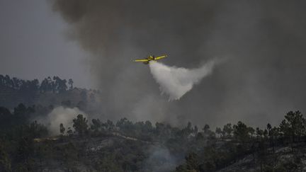 Un canadair à Odeceixe (Portugal), le 8 août 2023. (PATRICIA DE MELO MOREIRA / AFP)