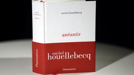 Le livre de Michel Houellebecq, "Anéantir" (Flammarion), en librairie le 7 janvier 2022.&nbsp; (THOMAS COEX / AFP)