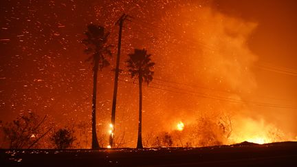 Les flammes ravagent la ville de Malibu, en Californie (Etats-Unis) le 9 novembre 2018. (ROBYN BECK / AFP)