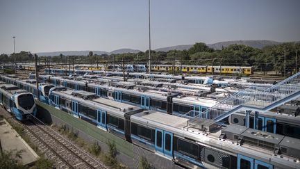 Des trains de construction récente dans un dépôt de la PRASA,&nbsp;la compagnie nationale de chemin de fer d'Afrique du Sud,&nbsp;près de Pretoria, le 10 mars 2021. (MICHELE SPATARI / AFP)