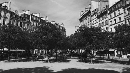 Place Dauphine, à proximité du Palais de Justice de Paris. (DAVID FRITZ-GOEPPINGER POUR FRANCEINFO)