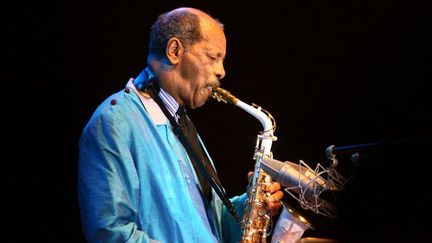 Ornette Coleman en concert en Allemagne en 2007
 (Fredrik von Erichsen / DPA / DPA/AFP)