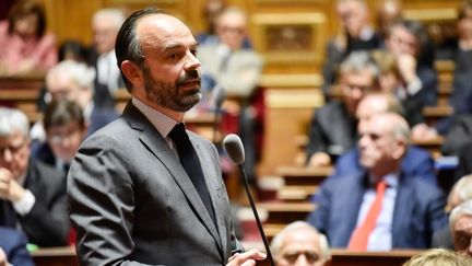 Le Premier ministre, Edouard Philippe, le 14 février 2019 au Sénat. (DANIEL PIER / NURPHOTO / AFP)