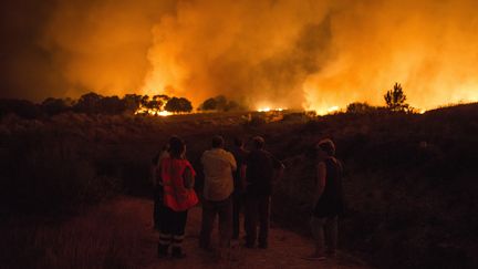 Un incendie ravage une forêt à Verin, dans l'ouest de l'Espagne, le 4 août 2017. (MAXPPP)