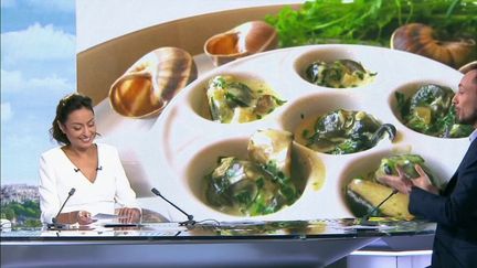 Traditions culinaires : l'histoire des escargots de Bourgogne