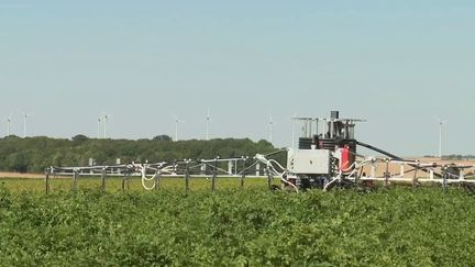 Sécheresse : les agriculteurs ne manquent pas d’idées pour innover (FRANCE 3)