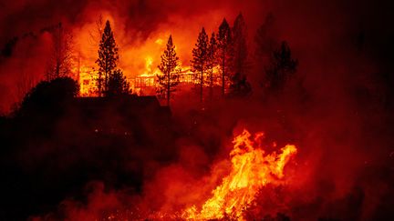 Californie : le ravage des incendies