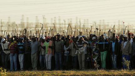 Des mineurs&nbsp;en gr&egrave;ve &agrave; Nkaneng (Afrique du sud), le 13 mai 2014. (SIPHIBE SIBEKO / REUTERS)