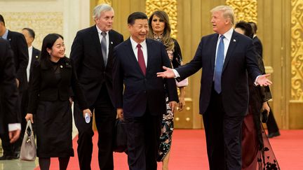 Le président chinois Xi Jinping et Donald Trump, le 9 novembre 2017, à Pékin. (JIM WATSON / AFP)