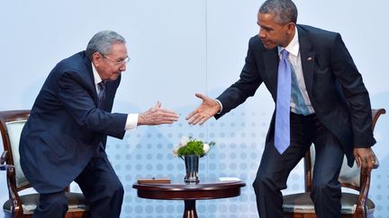 Le pr&eacute;sident am&eacute;ricain Barack Obama et le pr&eacute;sident cubain Raul Castro, le 11 avril 2015 &agrave; Panama City (Panama). (MANDEL NGAN / AFP)