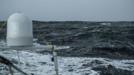 A bord de Linkedout (PIERRE BOURRAS / TR RACING)