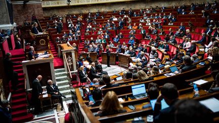 L'Assemblée nationale lors d'une séance de questions au gouvernement, le 8 novembre 2022. (XOSE BOUZAS / HANS LUCAS / AFP)