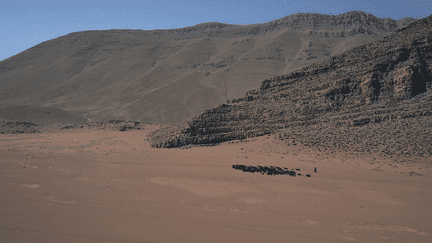 Aux côtés d'un berger nomade, Louise Thaller a exploré les cols et vallées sauvages du sud de l'Atlas marocain. (LOUISE THALLER)