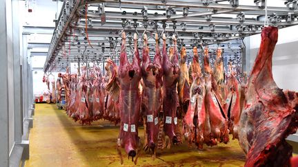 Un abattoir en novembre 2019. Photo d'illustration. (MICHEL CLEMENTZ / MAXPPP)