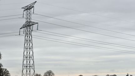 Image d'illustration d'une ligne électrique. (MYCHELE DANIAU / AFP)