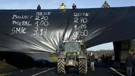 Des agriculteurs en colère bloquent la circulation sur l'autoroute A84,&nbsp;au niveau&nbsp;de Saint-Etienne-en-Coglès (Ille-et-Villaine), le 28 janvier 2016. (DAMIEN MEYER / AFP)