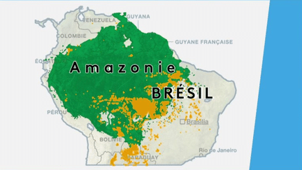 Environnement : huit pays d’Amérique latine veulent lutter contre la déforestation de l’Amazonie (France 3)