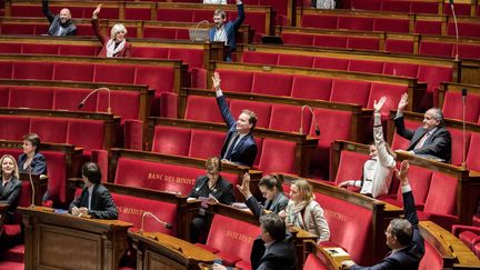 Les bancs de l'Assemblée nationale lors d'un vote sur un projet de loi sur l'exploitation des hydrocarbures, le 19 décembre 2017. (MAXPPP)