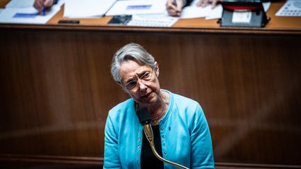 La Première ministre Elisabeth Borne, lors des questions au gouvernement à l'Assemblée nationale à Paris, le 23 mai 2023. (XOSE BOUZAS / HANS LUCAS / AFP)