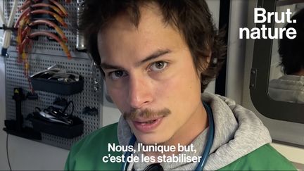 Hérissons, oiseaux, écureuils… Dans le garage de cette maison, Tom, Amandine et Léonie recueillent et soignent les animaux sauvages en détresse, et essayent de réparer le mal que l'homme peut leur faire. Brut a passé une journée à l'Hôpital Faune Sauvage.