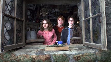 Cinéma : il y a 19 ans, Harry Potter prenait vie pour la première fois à l'écran