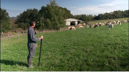 PAC.&nbsp;Les agriculteurs vont-ils sauver la planète ? (CAPTURE D’ÉCRAN "PIÈCES A CONVICTION" / FRANCE 3)