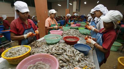 Des travailleurs migrants travaillent dans une usine de crevettes &agrave; Bangkok (Tha&iuml;lande), le 22 mars 2007. (CHAIWAT SUBPRASOM / REUTERS)