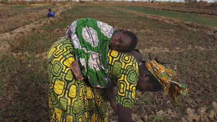 Travail aux champs &agrave; Heremakono (Mali), le 22 janvier 2013. (JOE PENNEY / REUTERS)