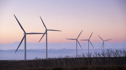 Des éoliennes à Avignonet-Lauragais (Haute-Garonne), le 27 janvier 2022. (FRANCOIS LAURENS / HANS LUCAS / AFP)