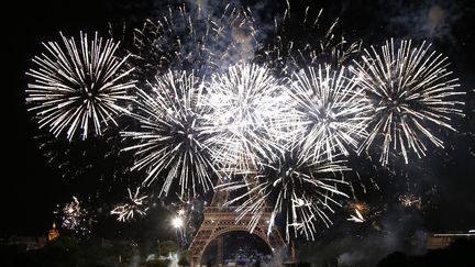 Un feu d'artifice tiré devant la tour Eiffel, à Paris, le 14 juillet 2019.&nbsp; (MUSTAFA YALCIN / ANADOLU AGENCY / AFP)