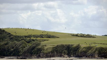 La baie de Saint-Brieuc,&nbsp;dans les Cote d'Armor. (MIGUEL MEDINA / AFP)