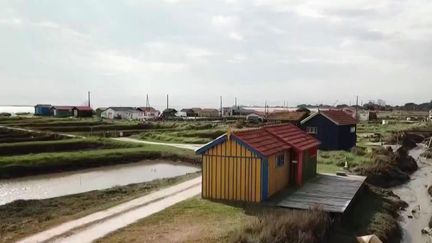 Sur l'île d'Oléron (Charente-Maritime), le village de Fort-Royer et ses cabanes colorées offrent des paysages de carte postale. La vie du site ostréicole continue, malgré l'absence des touristes.&nbsp; (France 3)