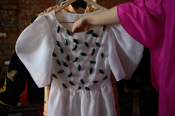 La marque Dauphinette fondée par Olivia Cheng. La créatrice montre une robe ornée d'ailes de scarabées, à la New York Fashion Week, le 9 février 2022 (ED JONES / AFP)