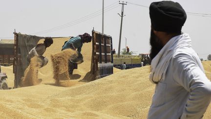 Des ouvriers déchargent des céréales d'une remorque sur un marché de gros des céréales à Amritsar en Inde, le 16 avril 2022. (NARINDER NANU / AFP)