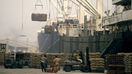 Chargement de sacs de cacao dans un cargo, sur les docks du port d'Abidjan, en Côte d'Ivoire, le 5 juillet 2020. (PHILIPPE ROY / PHILIPPE ROY)