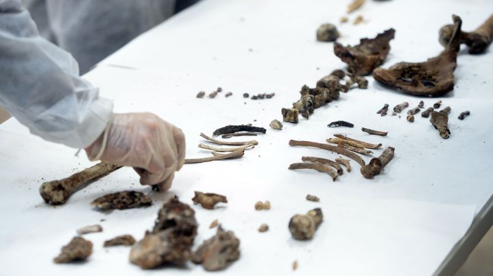 Des restes retrouv&eacute;s dans&nbsp;l'actuelle &eacute;glise des Trinitaires, &agrave; Madrid (Espagne), le 24 janvier 2015. (EVRIM AYDIN / ANADOLU AGENCY / AFP)