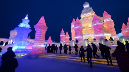 Festival de glace de Harbin (Chine)
 (Wang Kai/Xinhua/AFP)