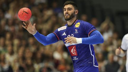 Ludovic Fabregas lors du match de préparation de l'équipe de France avant les Jeux olympiques de Paris 2024, contre l'Allemagne, le 13 juillet à Dortmund. (MAXPPP)