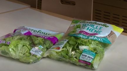 Alimentation : le succès de la salade en sachet