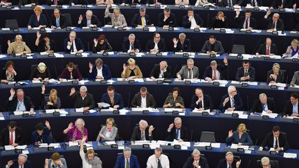 Lors d'un vote dans l'hémicycle du Parlement européen, à Strasbourg le 26 mars 2019. (FREDERICK FLORIN / AFP)