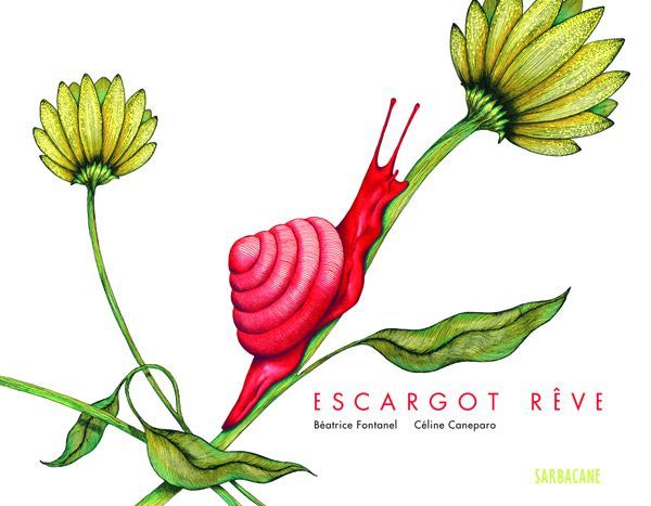 Escargot rêve
 (Céline Caneparo / Sarbacane)