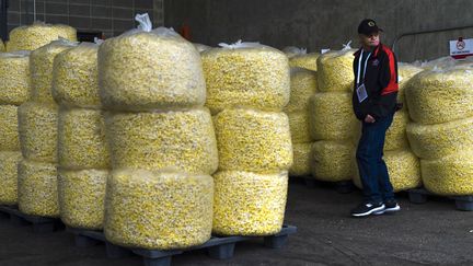 Des sacs de popcorn sont stock&eacute;s en pr&eacute;vision du championnat du monde junior de hockey sur glace &agrave; Calgary (Canada), le 2 janvier 2012. (ANDY CLARK / REUTERS)