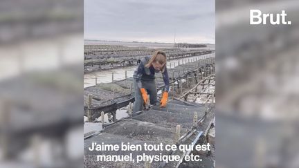 Cet été, la jeune fille a choisi un job d’été atypique : être ostréicultrice pour un producteur situé près de la baie du Mont-Saint-Michel. Brut. l’a suivie une journée dans son quotidien.