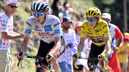 Tadej Pogacar (en blanc) et Jonas Vingegaard (en jaune) dans l'ascension de la montée Jalabert, à Mende, lors de la 14e étape du Tour de France, le 16 juillet 2022. (DAVID STOCKMAN / AFP)