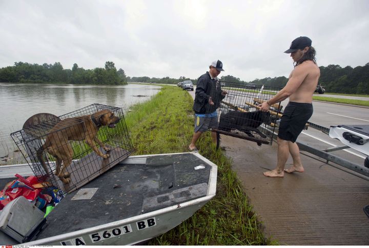 Ces habitants de Central (périphérie de Baton Rouge) sauvent des chiens piégés dans les inondations, le 13 août 2016. (TRAVIS SPRADLING/ SIPA)