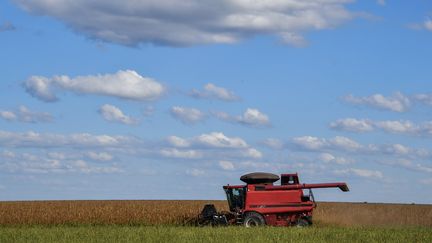 Les agriculteurs brésiliens s'inquiètent notamment du "principe de précaution" intégré dans l'accord à la demande de l'Union européenne. (NELSON ALMEIDA / AFP)