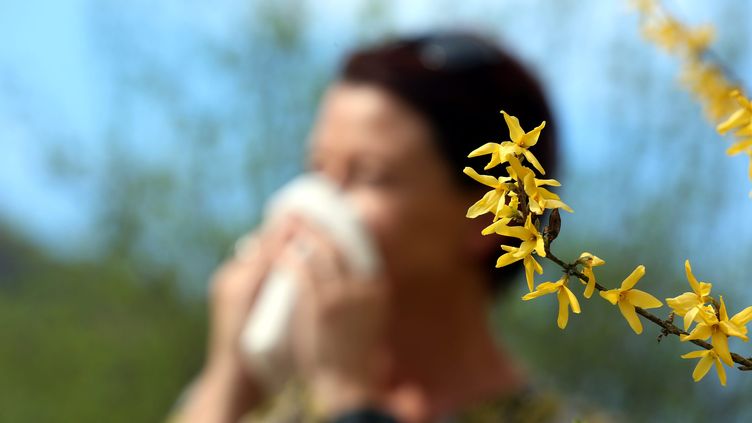 Pollens : comment réagir et se protéger en cas d'allergie ?