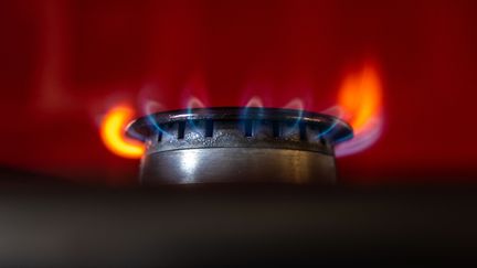 Les foyers français qui utilisent du gaz peuvent dorénavant consulter le "prix repère" instauré par la Commission de régulation de l’énergie (CRE), alors que le tarif réglementé prendra fin début juillet. (FRANK RUMPENHORST / DPA / AFP)